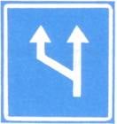 عدد المسالك في الشارع آخذ في التزايد